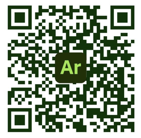 AR graphic icon